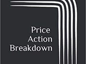 Price Action Breakdown by Laurentiu Damir