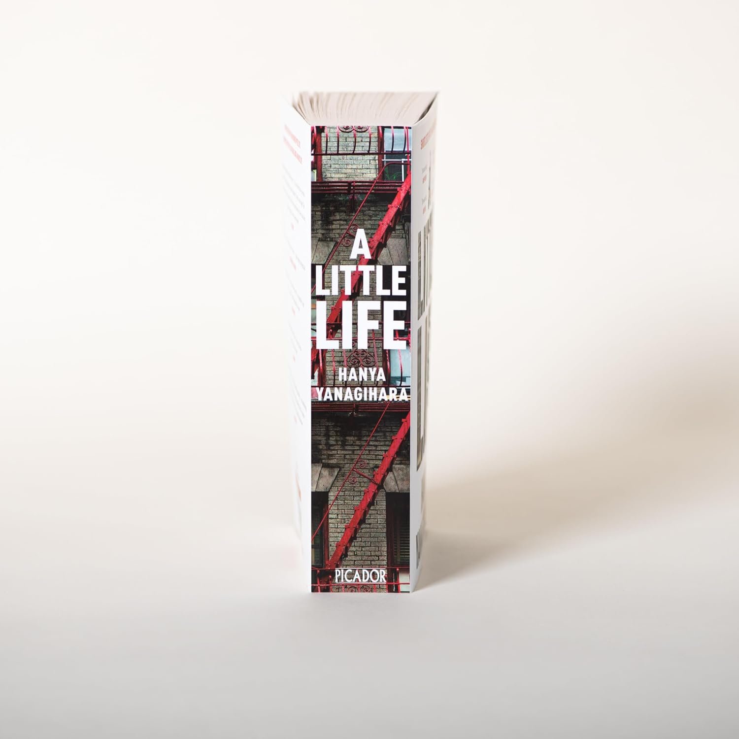 A Little Life by Hanya Yanagihara - Image 2