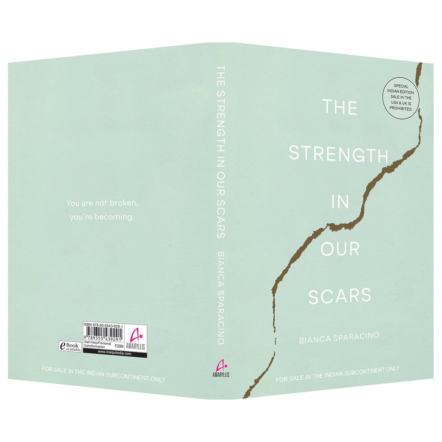The Strength in Our Scars by Bianca Sparacino - Image 3