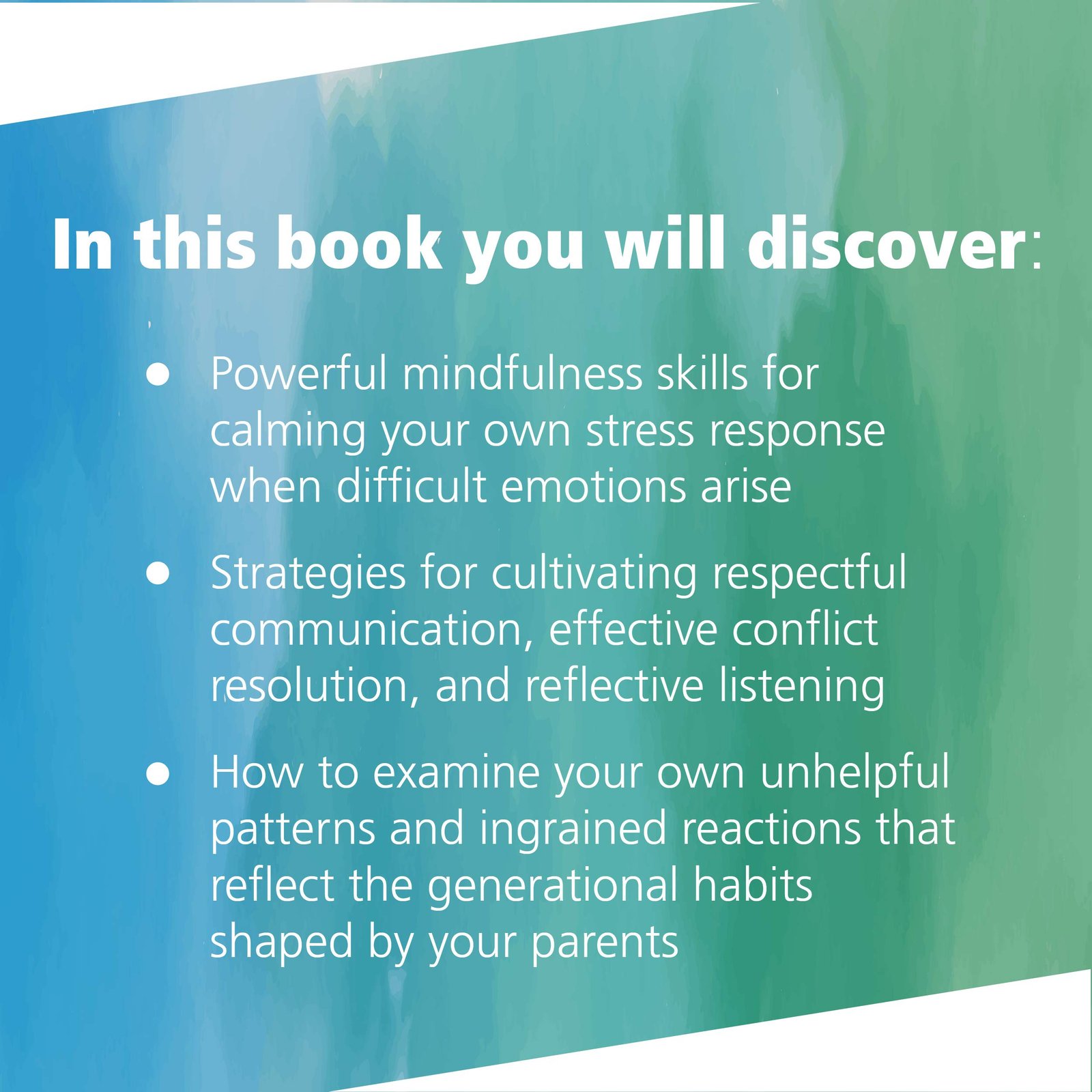 Raising Good Humans: A Mindful Guide to Breaking the Cycle of Reactive Parenting - Image 3