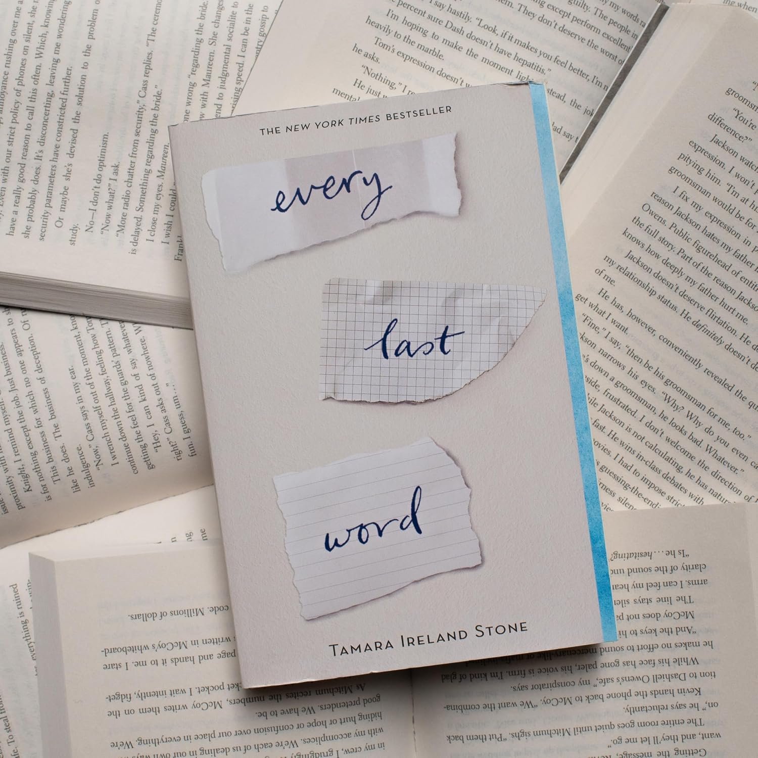 Every Last Word by Tamara Ireland Stone - Image 2