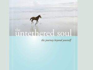 The Untethered Soul by Michael A. Singer – Large Print Paperback